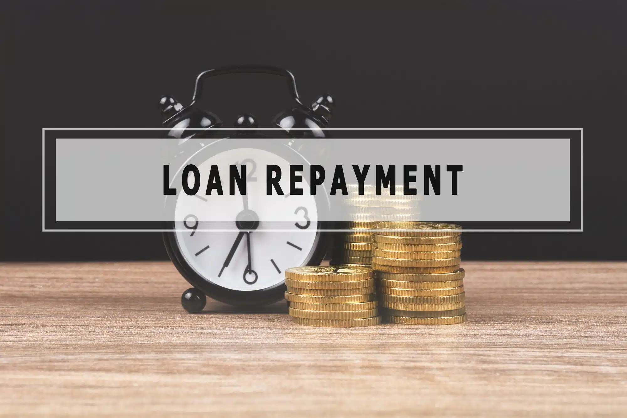 Loan Repayment